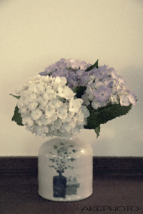 紫陽花_e0127416_1242244.jpg