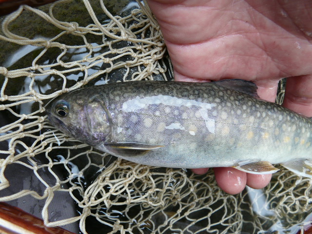 e0147226_23483653.jpg