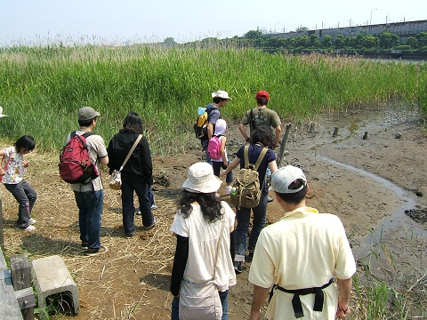 谷津干潟の自然観察会_e0089232_201927100.jpg