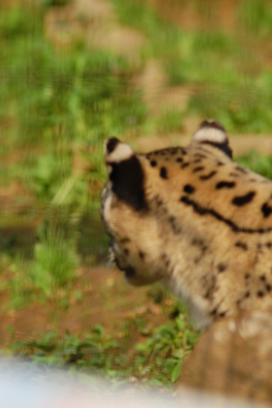 多摩動物公園で撮影会_e0145132_22472513.jpg