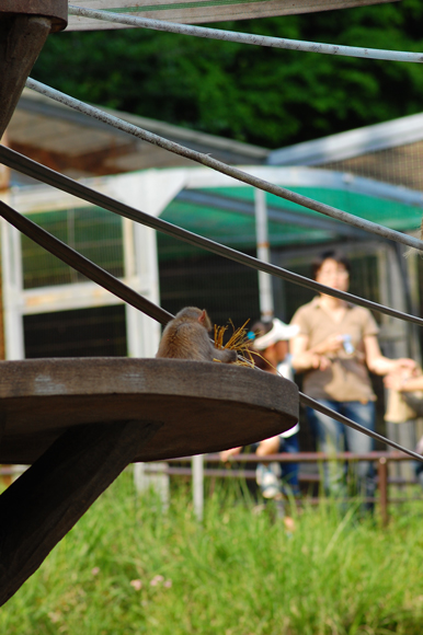 多摩動物公園で撮影会_e0145132_22533024.jpg