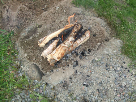 f0200734_30669.jpg