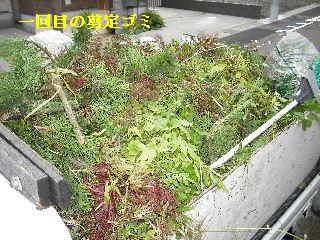 勝負は午前中_f0031037_2182479.jpg
