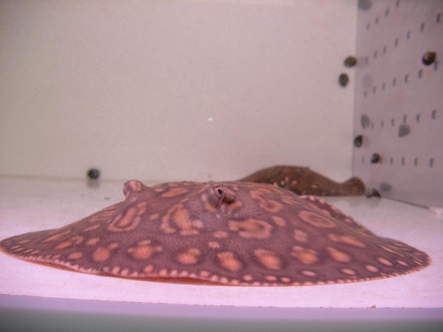 b0188042_5561025.jpg