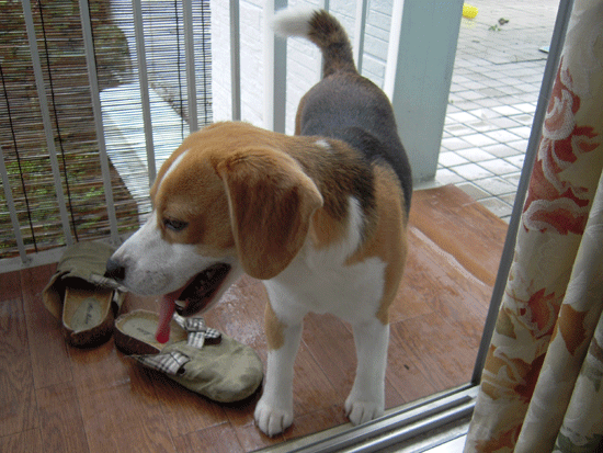 b0005652_19514670.gif