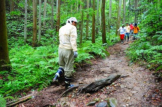 c0047856_932280.jpg