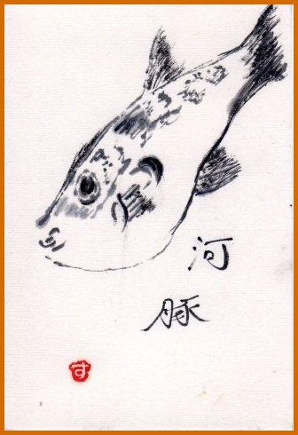 河豚 すみさんからの絵手紙