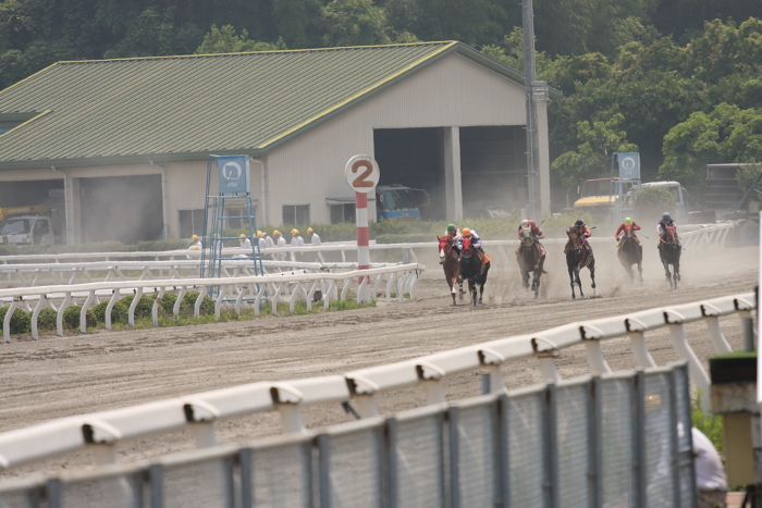 2009年6月14日（日） 高知競馬 4R D4_a0077663_18303977.jpg