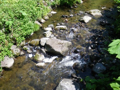 c0133470_18182932.jpg