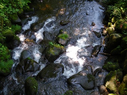 c0133470_1818354.jpg