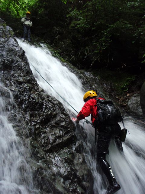 d0079579_5245559.jpg