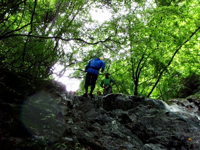 d0079579_525314.jpg