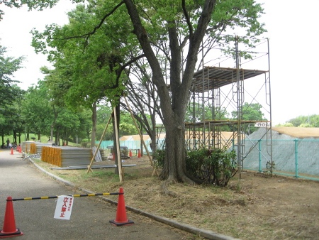 本日の大阪府堺市大泉緑地_f0170779_1775943.jpg