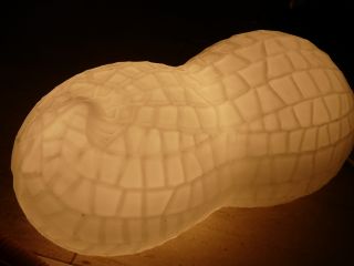 2009年6月22日 すご~い湿度!_b0098584_1740151.jpg