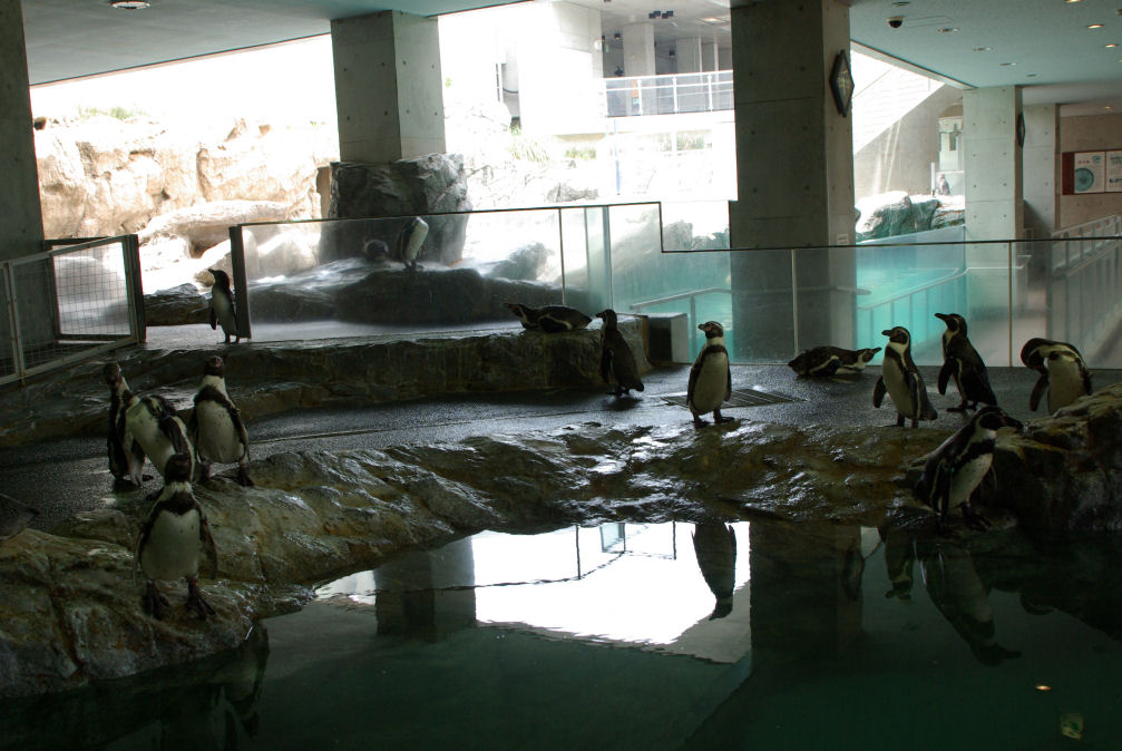 c0152288_826615.jpg