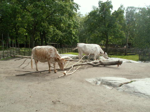 c0180096_22133099.jpg