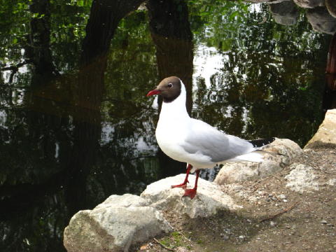 c0180096_23212569.jpg