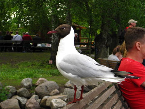 c0180096_23221433.jpg
