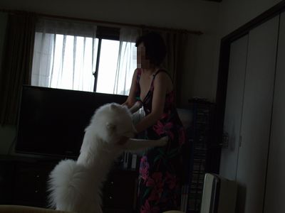 d0149103_8145712.jpg