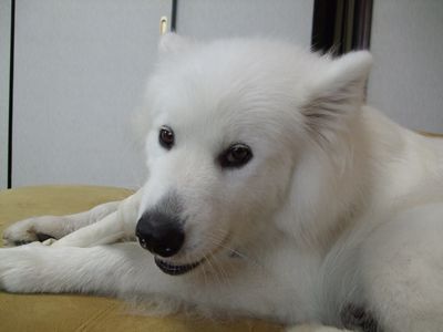 d0149103_8272055.jpg