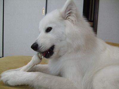 d0149103_829456.jpg
