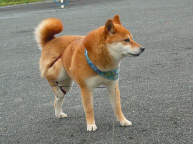 e0131506_2350544.jpg