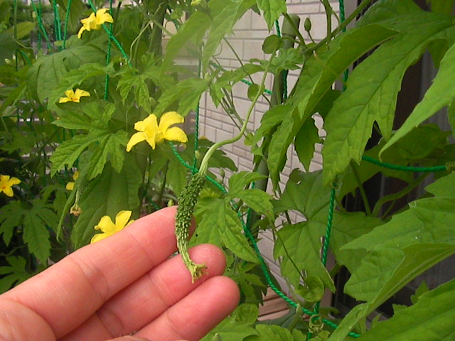 f0038407_14214370.jpg
