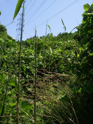 09.06.23(火) そして神戸_a0062810_21194361.jpg