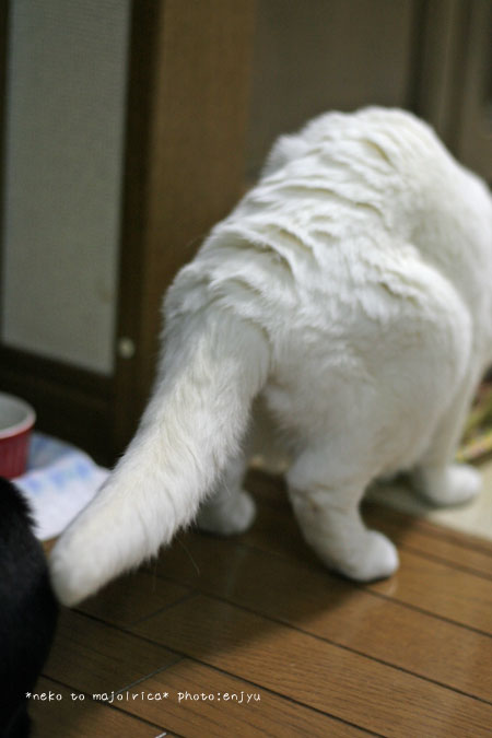 c0123612_2328865.jpg