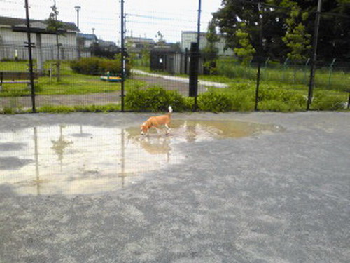 c0101713_23272659.jpg