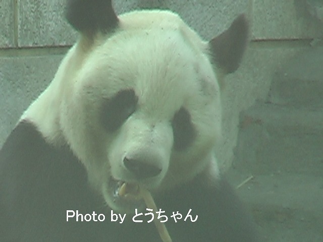 f0079716_23282898.jpg