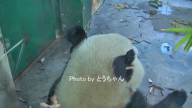 f0079716_23292937.jpg