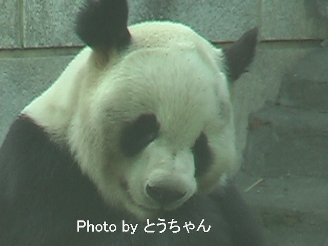 f0079716_2329476.jpg