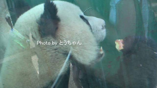 f0079716_23301237.jpg