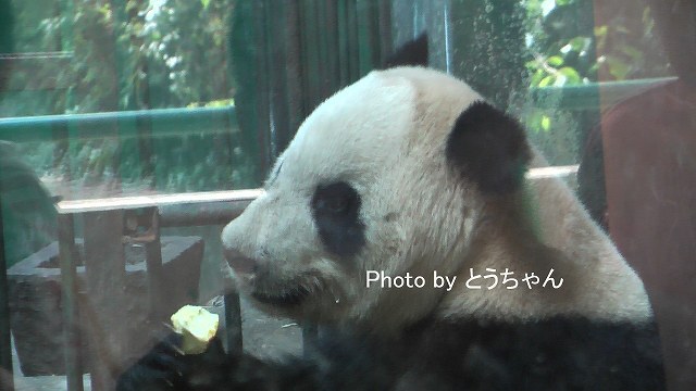 f0079716_23302554.jpg