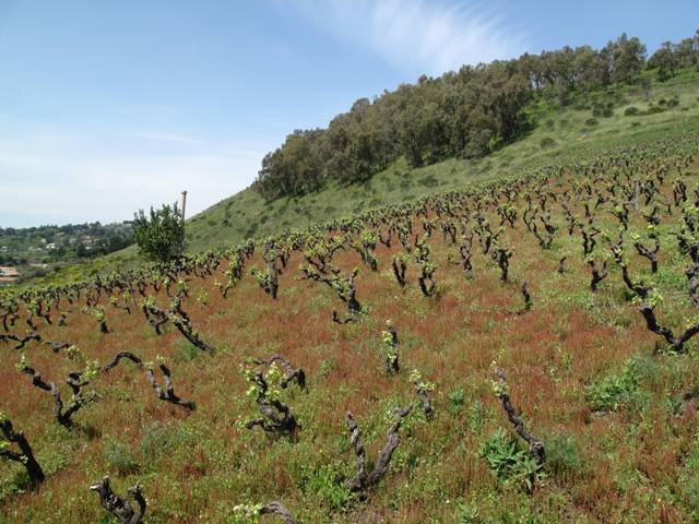 c0159117_21552582.jpg