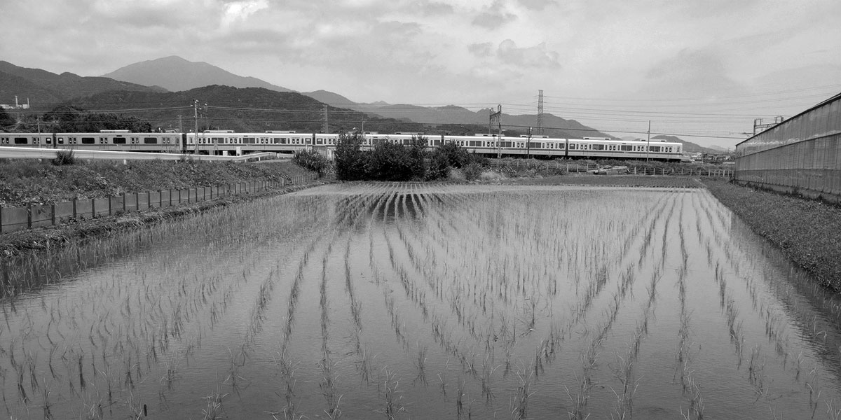 田植え／鶴巻温泉_b0023523_22295835.jpg