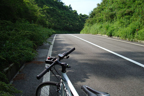 今日は（なんちゃって）山岳コース_f0007926_22353344.jpg