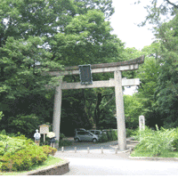 京都要庵歳時記「寺町通から水無月の梨木神社まで」萩をもとめて（5）_d0033734_15372385.gif