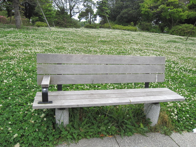 b0088037_754220.jpg