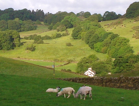 d0040546_96503.jpg