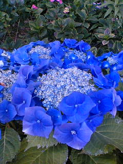a0063748_9431011.jpg