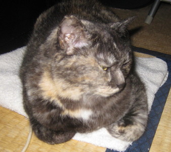 e0121548_2052233.jpg