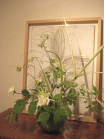 光と影_d0139350_21504317.jpg