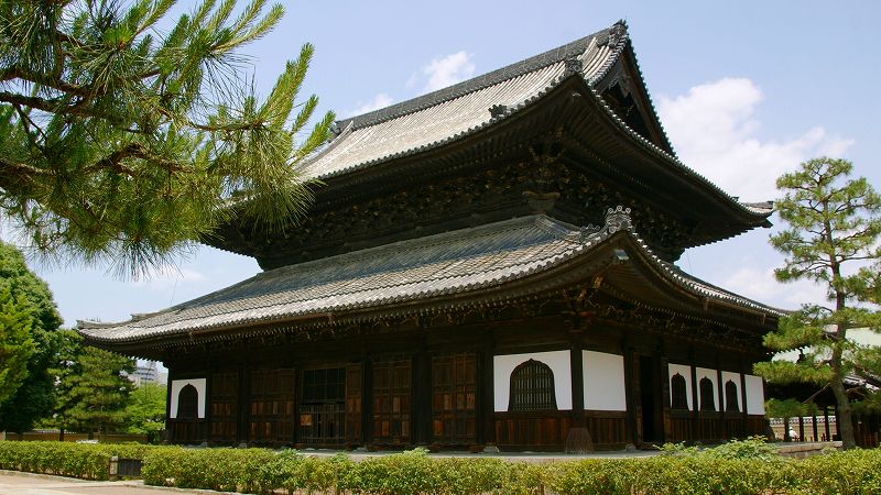 半夏生（はんげしょう） （東山 建仁寺塔頭 両足院 夏季特別拝観 ）  (2009年06月24日)_c0119555_2145215.jpg