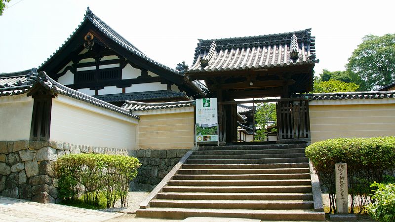 半夏生（はんげしょう） （東山 建仁寺塔頭 両足院 夏季特別拝観 ）  (2009年06月24日)_c0119555_21455161.jpg