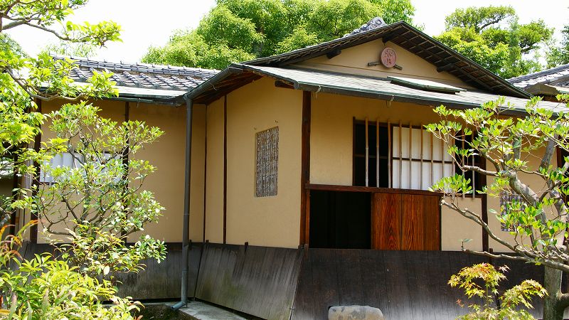 半夏生（はんげしょう） （東山 建仁寺塔頭 両足院 夏季特別拝観 ）  (2009年06月24日)_c0119555_21493935.jpg