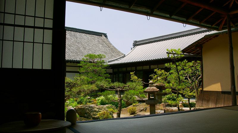 半夏生（はんげしょう） （東山 建仁寺塔頭 両足院 夏季特別拝観 ）  (2009年06月24日)_c0119555_21503459.jpg