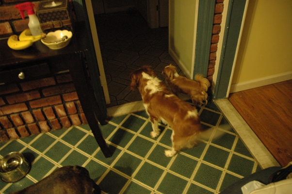 c0055857_10525145.jpg