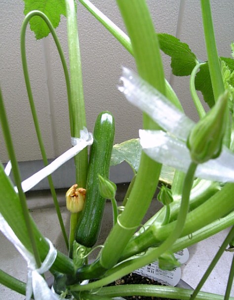 c0115560_10544820.jpg